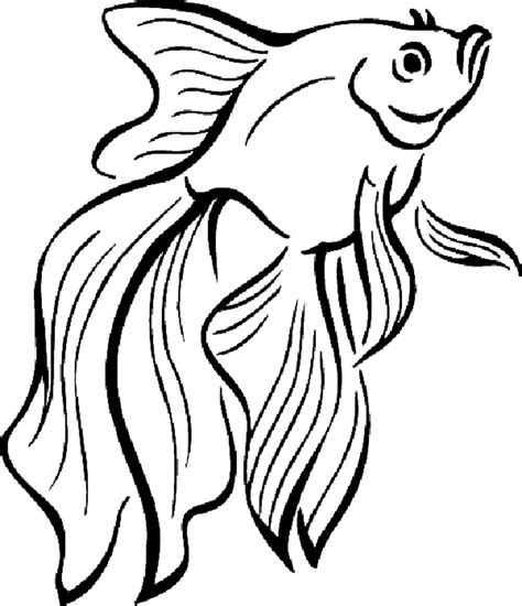 Fish Coloring Pages Free Printable: A Fun Activity For Kids