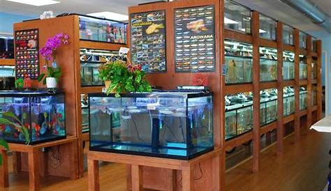 Fish Pet Stores Near Me Wet Spot Tropical Northeast Portland
