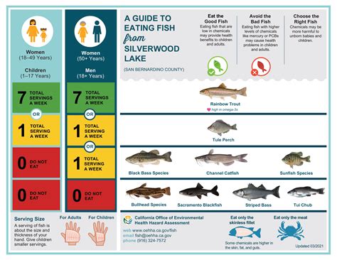 New Guidelines Make It Easier to Choose Safe Fish for Your Family Parents