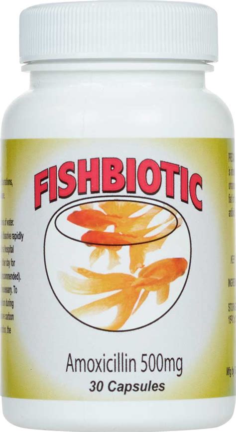 fish antibiotics for pets