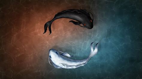 fish, Fishes, Underwater, Ocean, Sea, Sealife, Nature Wallpapers HD