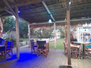 Fish Bones Kefalonia