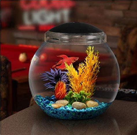 fish bowls with lids 1 gallon