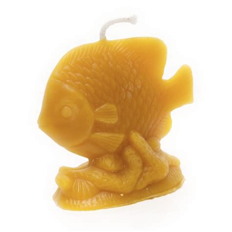 fish candle