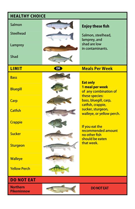 Fish Consumption Recommendations