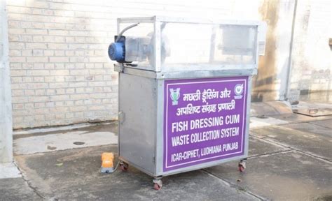 Fish Dressing Equipment