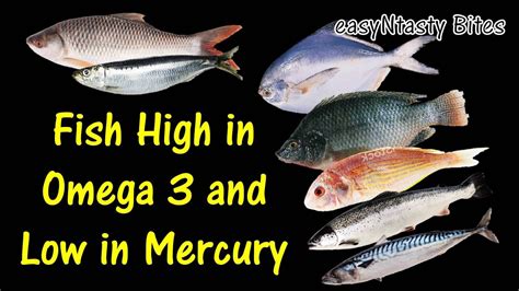 Fish High In Omega-3 Low In Mercury