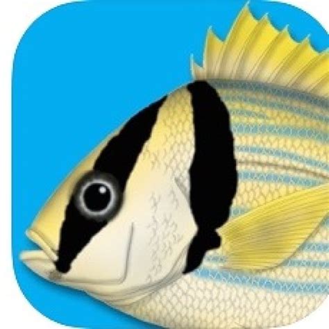 fish identification app