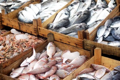 Competition from imported fish