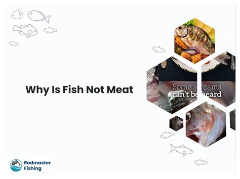 Fish Is Not A Meat