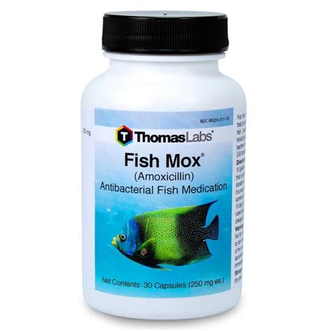 Fish Mox Walmart Dosage