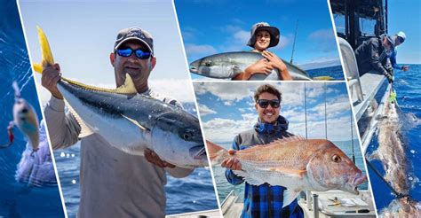 Fish N Dips Charters