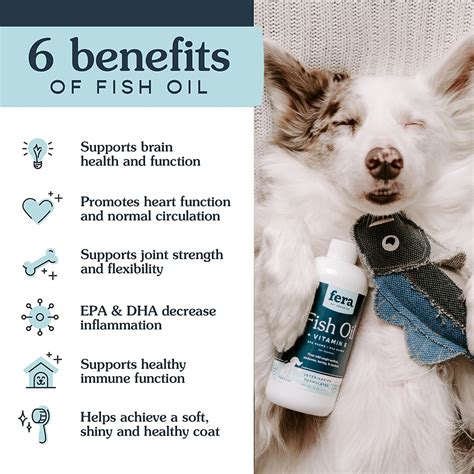 fish oil benefits for dogs