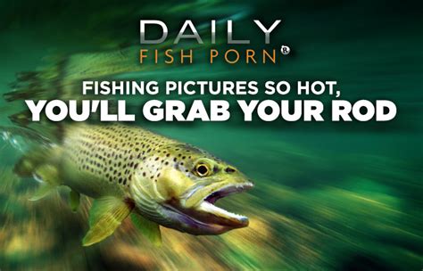 fish porn