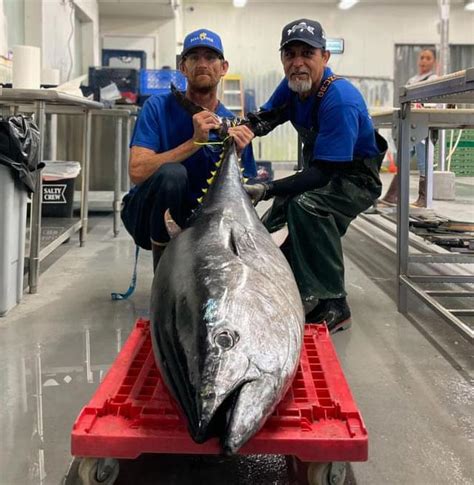 Fish Processing San Diego