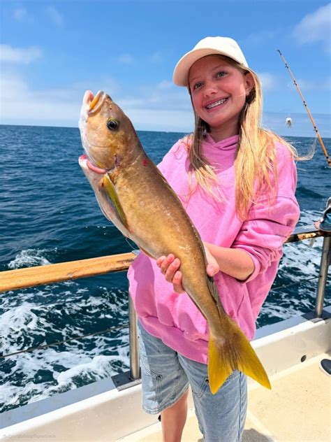 fish report oceanside