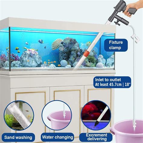 Fish Rock Cleaner