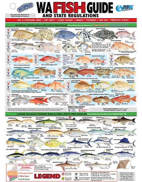 Fish Size Chart Wa