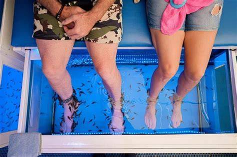 Fish Spa Process