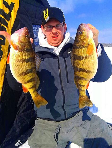 Fish Species in Lake Gogebic