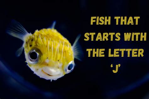 fish starts with j