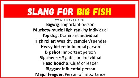 Fish Sticks Slang