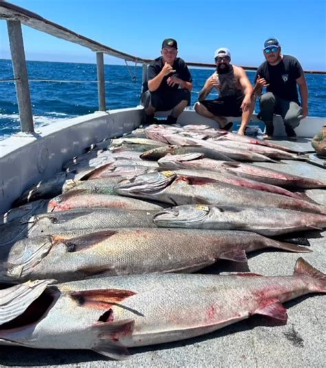 fish stocking los angeles