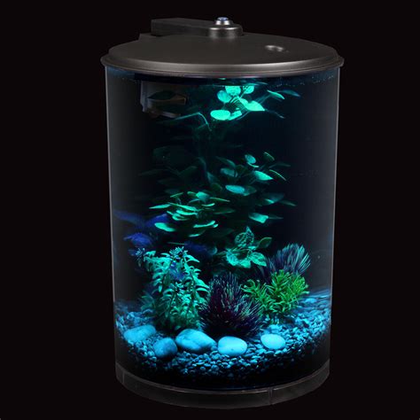 fish tank 3 gallon
