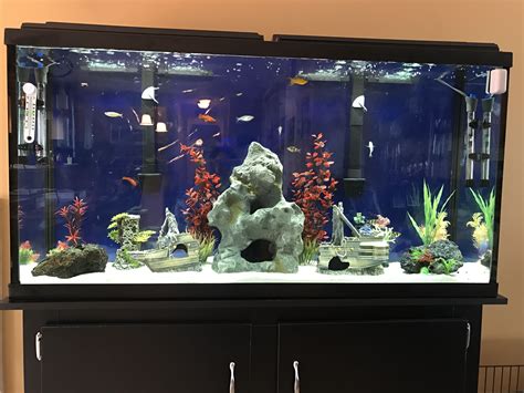 fish tank 60 gallon