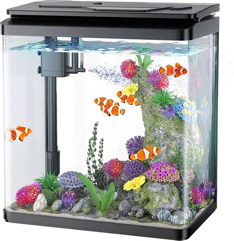 Fish Tank Amazon