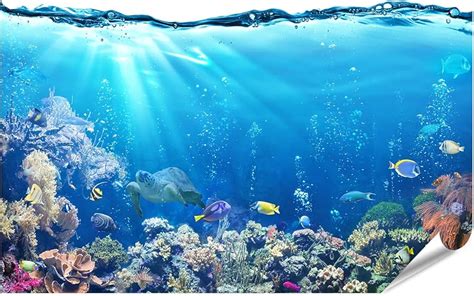 Fish Tank Background Pictures Printable