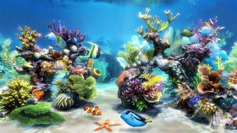 fish tank backgrounds 3d