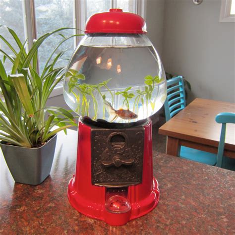 Fish Tank Bubble Gum Machine
