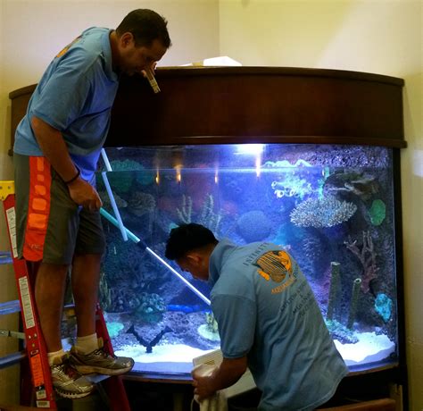 Fish Tank Cleaning Service