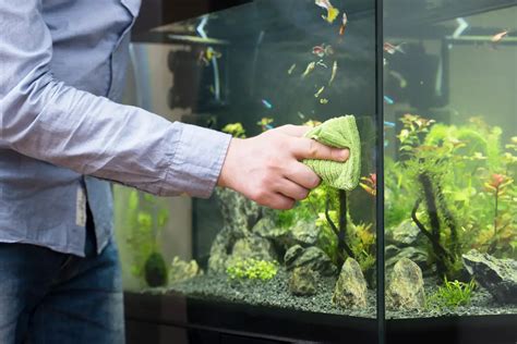 fish tank cleaning services 76039
