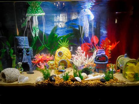 fish tank decoration set