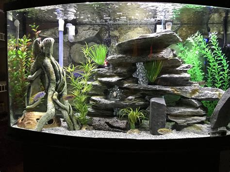 fish tank decorations diy