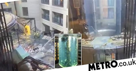 Fish Tank Explodes In Hotel