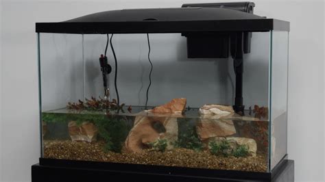 Fish Tank Hood Setup