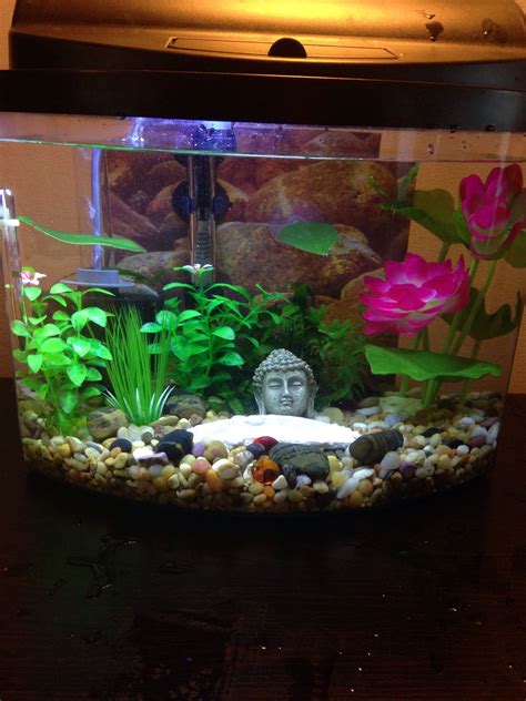 fish tank ideas decorating