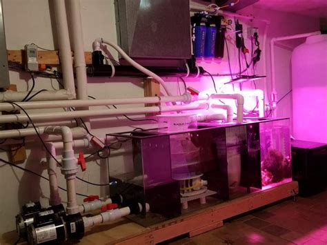 Fish Tank Installers