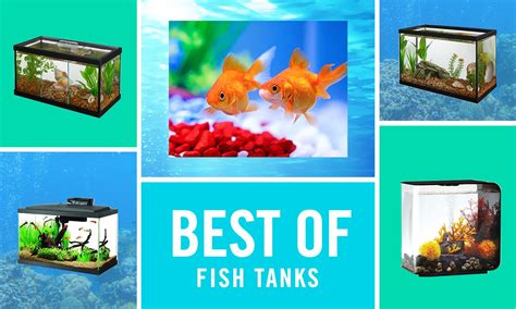 Fish Tank List