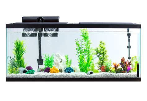 fish tank online purchase