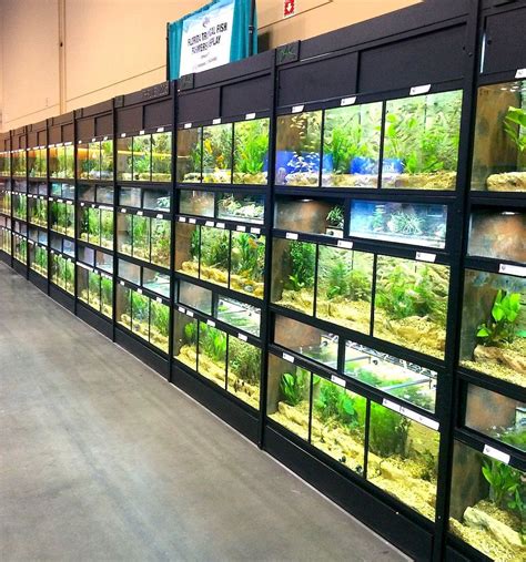 fish tank retailers with discounts