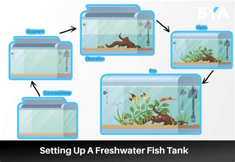 Fish Tank Setup Instructions