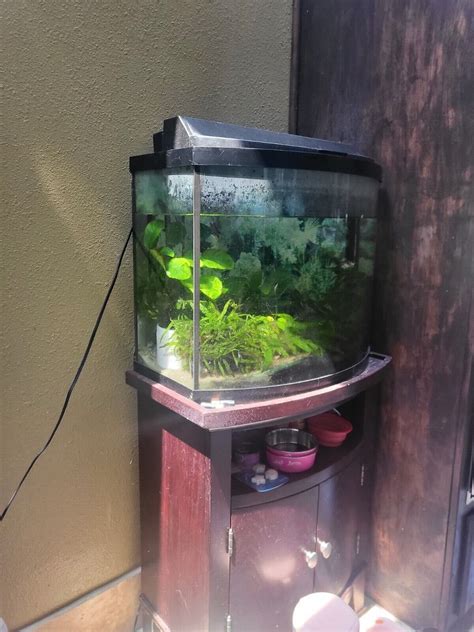 Fish Tank Stand Ebay