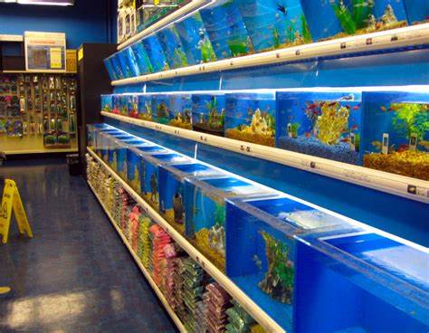 Fish Tank Store