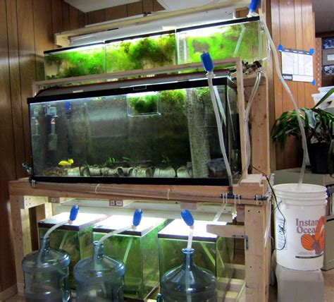 Fish tank water change
