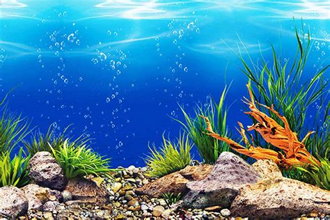 fish tank with background