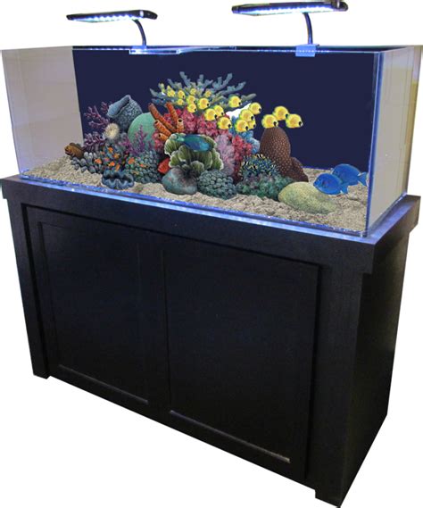 fish tanks 50 gallon